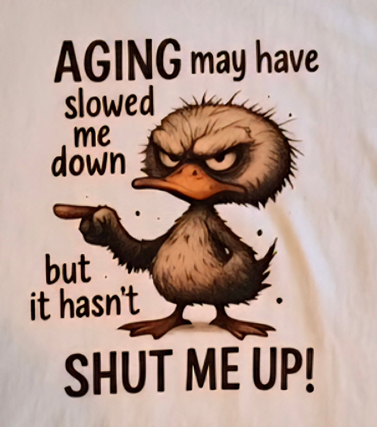 Aging May Have Slowed Me Down Tee