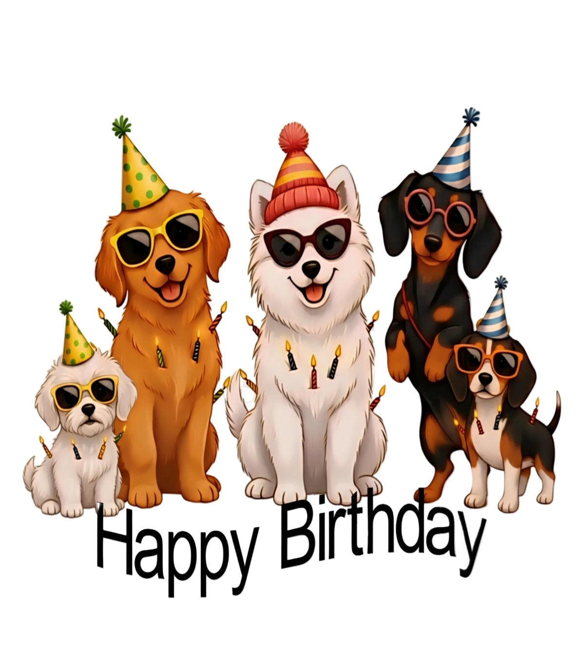Birthday Puppy Party T-Shirt