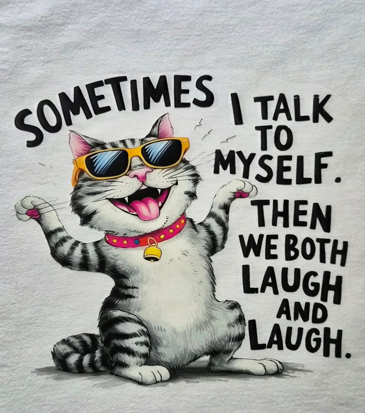Sometimes I Talk to Myself funny cat graphic tee